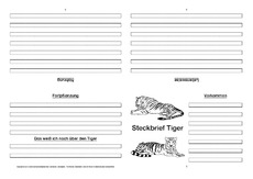 Tiger-Faltbuch-vierseitig-3.pdf